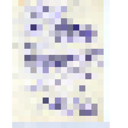 Рукописный текст песни "Ах, вы сени, мои сени"