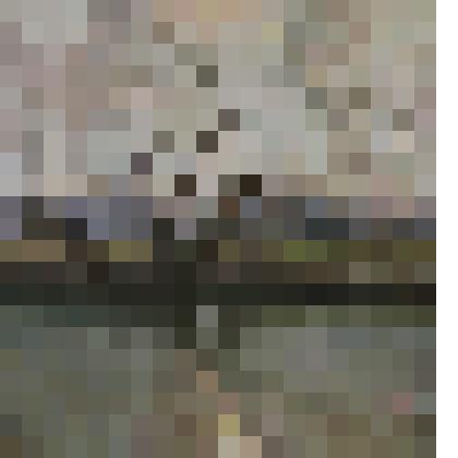 Картина. Отсветы