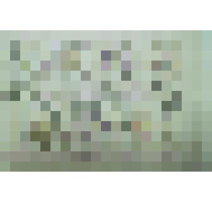 Орнамент. Рисунок