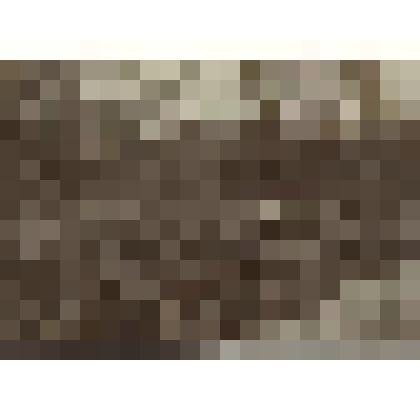 Фотография-сепия. Проверка проводов вдоль запасной линии окопов служащими полевого этапного почтово-телеграфного отделения