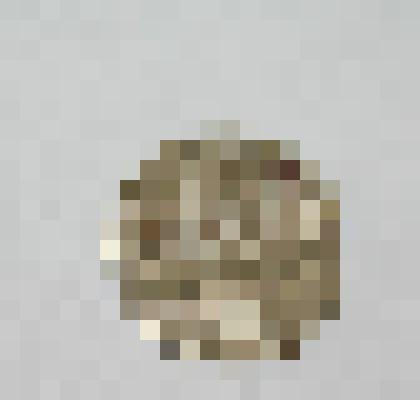 Монета. 10 копеек