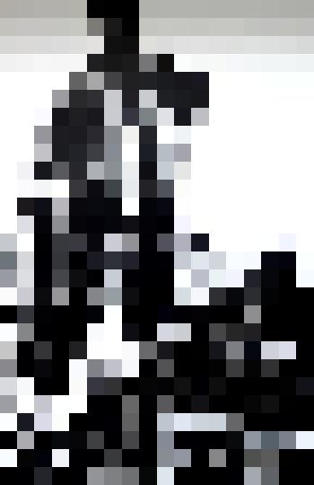 "Первые гонцы". Смехов З.Л