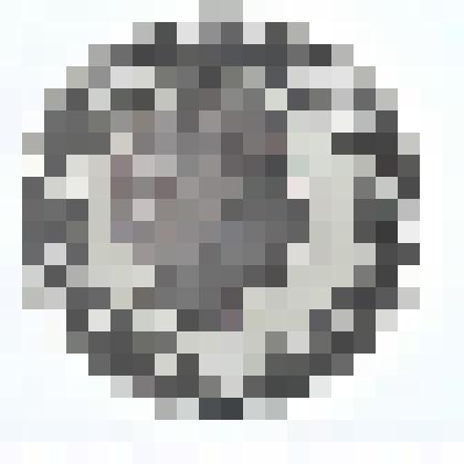 Инвестиционная монета. Собака 2006. 1 DOLLAR