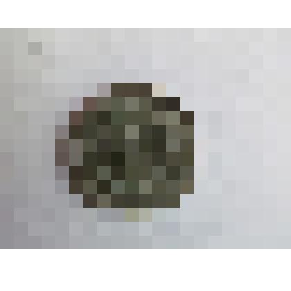 Монета 10 копеек 1922 год