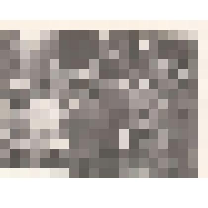 Фотография. Кассиль Л.А., Собинова С.Л., неизвестные