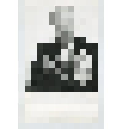 Фото ч/б. Бадигин М.П., Герой Советского Союза, полный кавалер трех орденов Славы