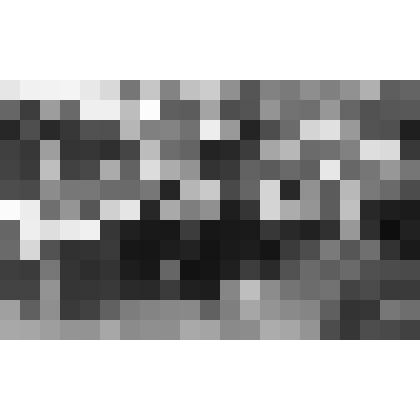 Фото групповое