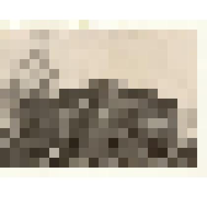 Фотография: здание по улице Ленина 51 в г.Камень-на-Оби Алтайского края