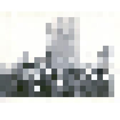 Фотография: бывшие фронтовики на митинге в честь 25-летия победы в Великой Отечественной войне в г.Камень-на-Оби Алтайского края