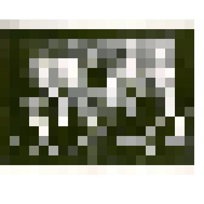 Фотография: очередная встреча учителей-пенсионеров, многие годы отработавших в г.Камне-на-Оби