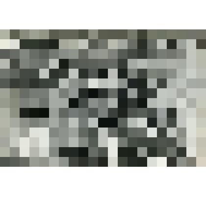 Фотография. Выпас свиней