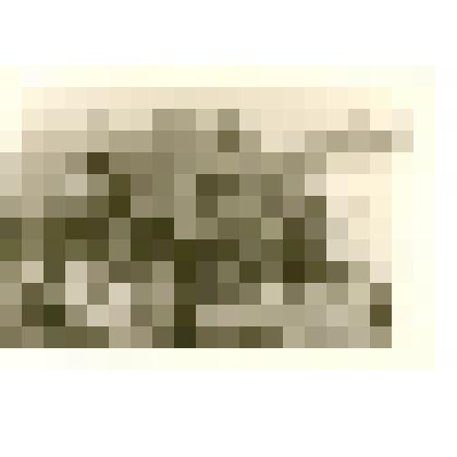 Фотография: качели в городском саду г.Камень-на-Оби Алтайского края