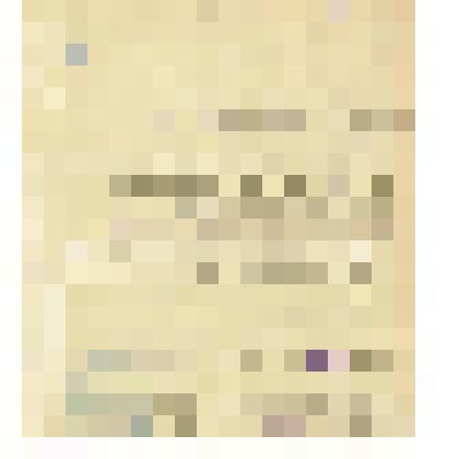 Справка жителей села Субботино, Шушенского района Красноярского края о бывшем жителе села Н. К. Обухове, что он в 1918 г. руководил подпольной организацией большевиков