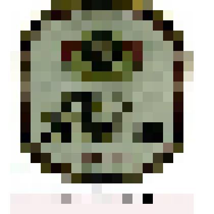 Этикетка «Темне пиво «Zlaty Gryphon» ("Темное пиво "Золотой грифон")