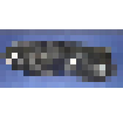 Галоша левая