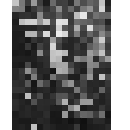 Большой дворец. Западный Китайский кабинет. Восточная стена. Панно № 3 "Помещичье хозяйство. Производство шелка". Фрагмент обрамления