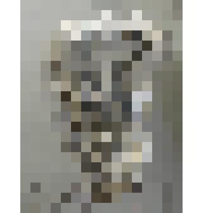 Череп Thоosuchus