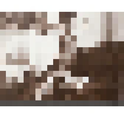 Л.Н.Толстой за работой в кабинете