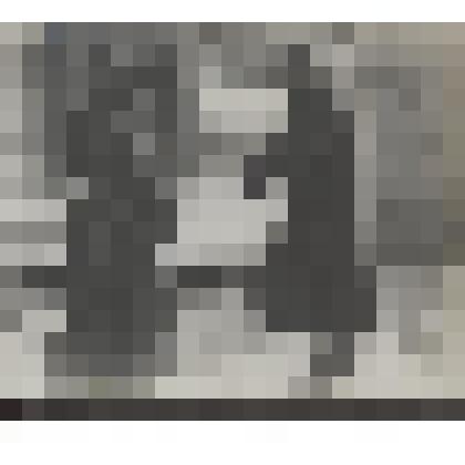 Л.Н. Толстой и О.К.Толстая