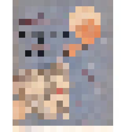 Брошюра. Сказка об Алеше Рязань и дядьке Беломоре