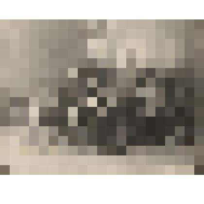 Фотография. Командный состав батальона