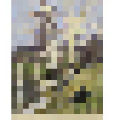 Картина «Весенняя песня» (начало весны)