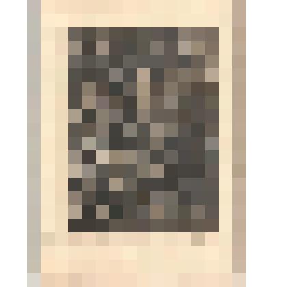 Счастливое правление королевы (La felicite` de la Regence)