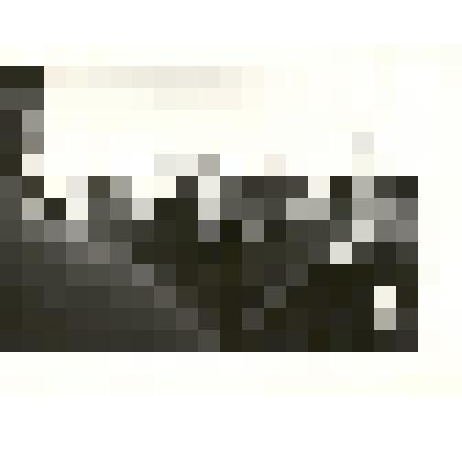 Фотография: митинг, посвященный 20-летию освоения целины у здания СПТУ-19