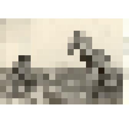 Фотография: бригадир совхоза "Путь Ильича" Каменского района Алтайского края Иван Шадрин осматривает поля перед посевом