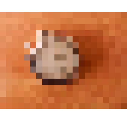 Часы наручные командирские «Амфибия»