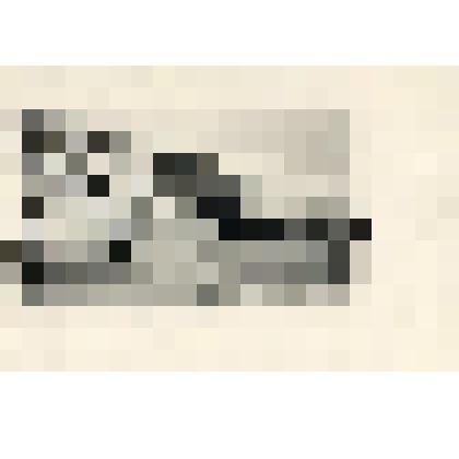 Открытое письмо. Омск. Дворцовая улица