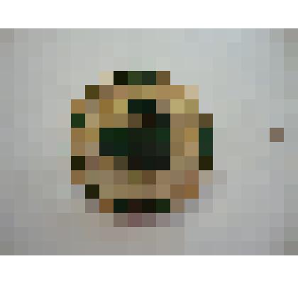 Значок членский "Коллегия судей по спорту"III категория