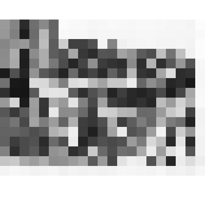 Фотография. Колонна тружеников колхоза им. Чапаева