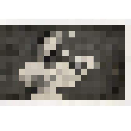 ОТКРЫТОЕ ПИСЬМО. М. Полакко