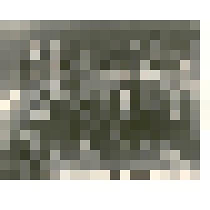 Фотография: первый выпуск Каменской восьмилетней школы-интерната