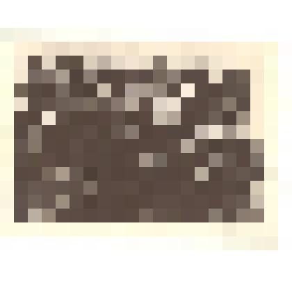 Фотография: 1-я Каменская окружная комсомольская конференция. Копия