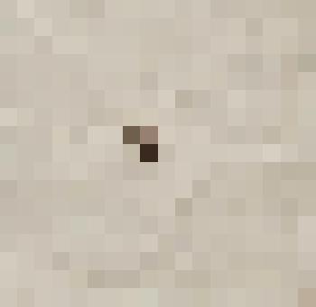 Винт из готовальни