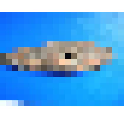 Каменный  топор, орудие  труда