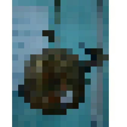 Пороховница