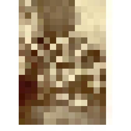 Фотография. Участники экспедиции Э.В. Толля ( со слов М.И. Валя)