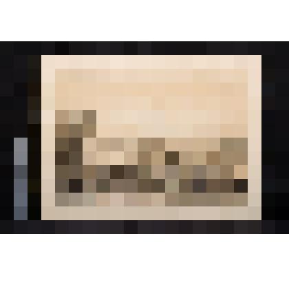 Вид града Киева с южной стороны