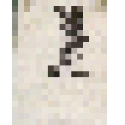 Экслибрис Цигаля, В