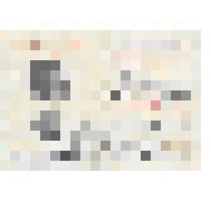 Документ. Удостоверение серия "Е" № 0042990 на имя Передельского Виктора Михайловича в том, что он награжден медалью "За доблестный труд в Великой Отечественной войне 1941-1945 гг."