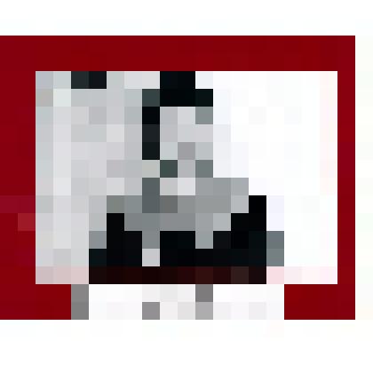 Фотография. Маликов Рустам Галиевич - заслуженный артист Республики Башкортостан, народный артист Республики Татарстан