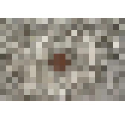 Монета СССР  2 копейки 1991 г