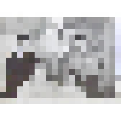 Фотография групповая. Коллектив РАЙПО