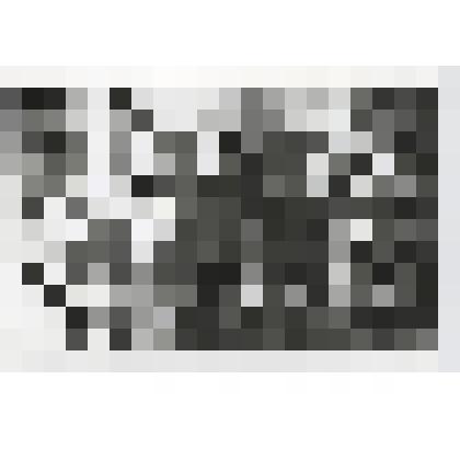 Фотография ч/б. Родственники Колесника И.Т., Киченок П.М. и Котикова Е.Г. на открытии мемориальной доски на братской могиле в д.Александровка. 9.05.1986 г