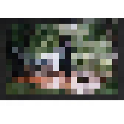 Фото. Во время празднования 100-летия дома-усадьбы  династии Тозыяковых. Выступает заведующая отделом истории Республиканского музея им. А.В. Анохина Полтева Т.И