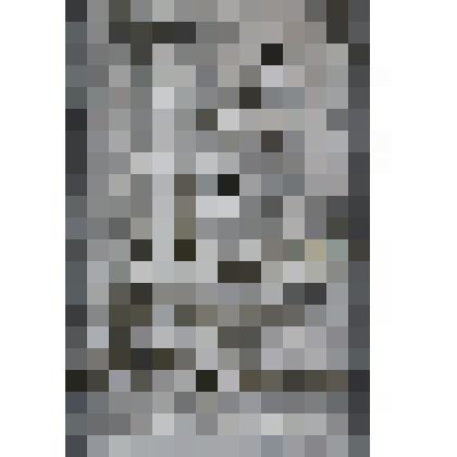 Рисунок «Ревущее животное»