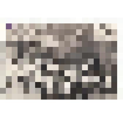 Ф/чб. Детский сад завода "Коммунист" г. Марксштадт. Дети на утренней зарядке. АССР НП. 1937